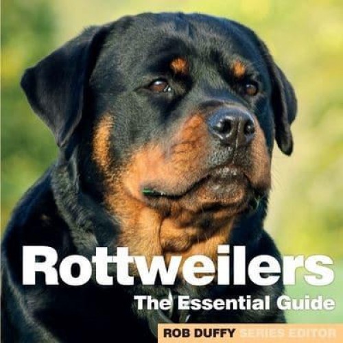 Rottweilers The Essential Guide