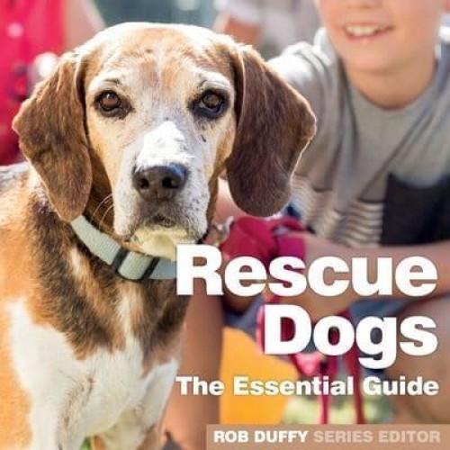 Rescue Dogs The Essential Guide - Need2know Essential Guides