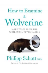 How to Examine a Wolverine More Tales from the Accidental Veterinarian