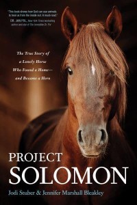 Project Solomon The True Story of a Lonely Horse Who Found a Home - And Became a Hero
