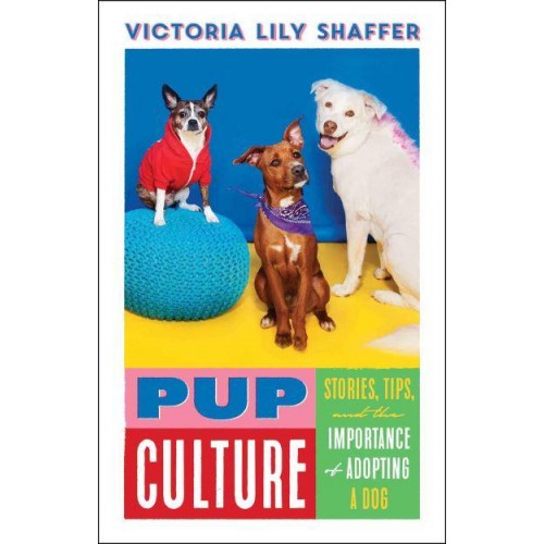 Pup Culture Stories, Tips, and the Importance of Adopting a Dog