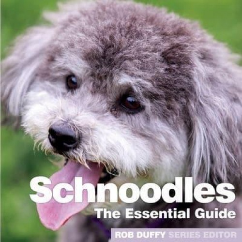 Schnoodles The Essential Guide - Need2know Essential Guides