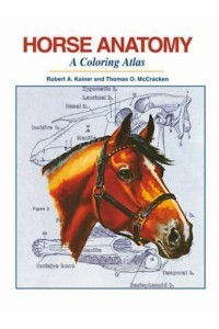 Horse Anatomy A Coloring Atlas