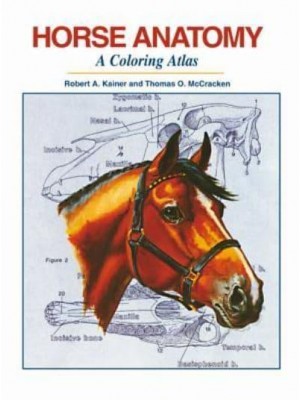 Horse Anatomy A Coloring Atlas
