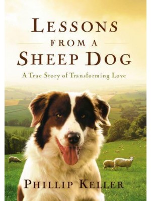 Lessons from a Sheep Dog