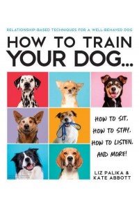 How to Train Your Dog How to Sit, How to Stay, How to Listen, and More!