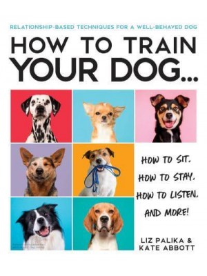 How to Train Your Dog How to Sit, How to Stay, How to Listen, and More!