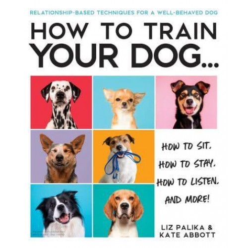How to Train Your Dog How to Sit, How to Stay, How to Listen, and More!