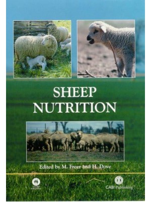 Sheep Nutrition