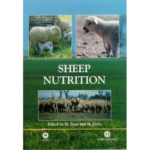 Sheep Nutrition