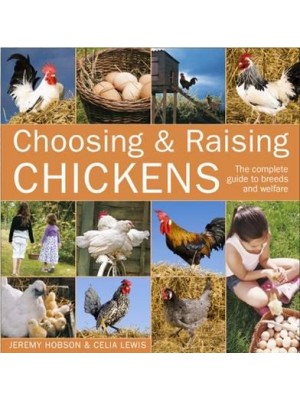 Choosing & Raising Chickens The Complete Guide to Breeds and Welfare