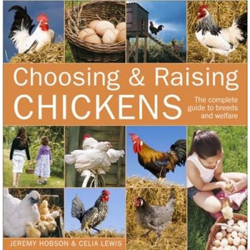 Choosing & Raising Chickens The Complete Guide to Breeds and Welfare