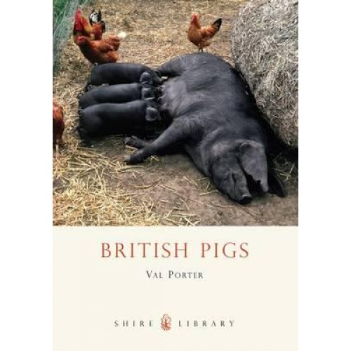 British Pigs - Shire Library