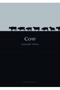 Cow - Animal