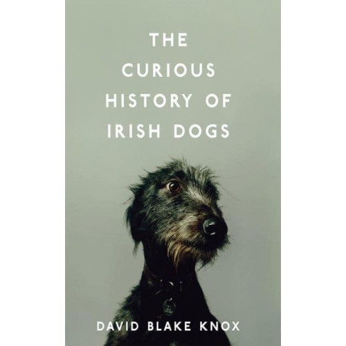 The Curious History of Irish Dogs