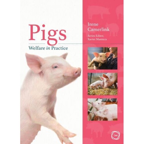 Pigs Welfare in Practice
