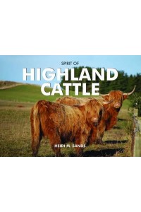 Spirit of Highland Cattle