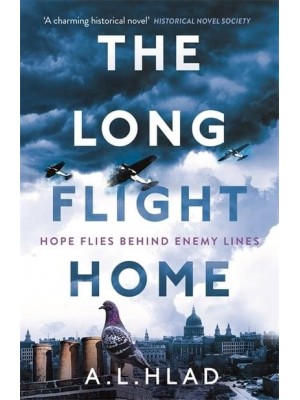 The Long Flight Home