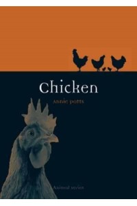 Chicken - Animal