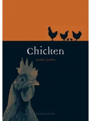 Chicken - Animal