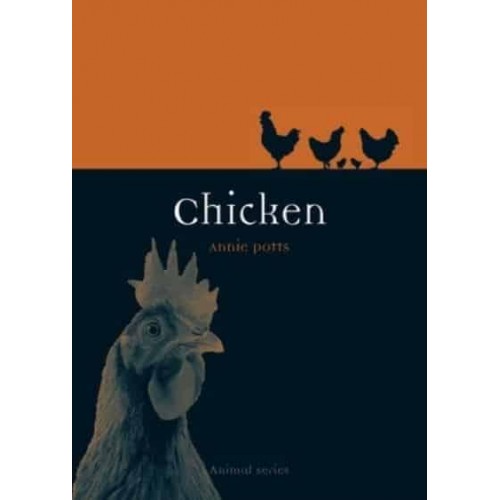 Chicken - Animal