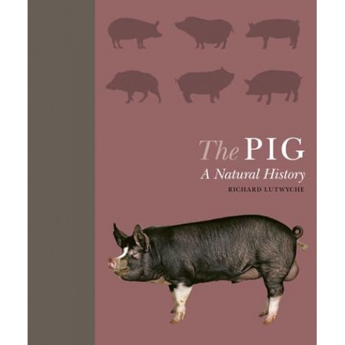 The Pig A Natural History - A Natural History