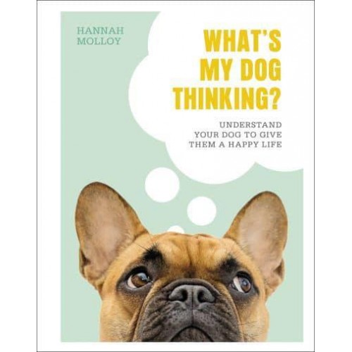 What's My Dog Thinking? Understand Your Dog to Give Them a Happy Life