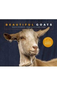 Beautiful Goats Portraits of Champion Breeds - Beautiful Animals