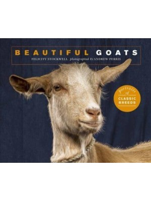 Beautiful Goats Portraits of Champion Breeds - Beautiful Animals