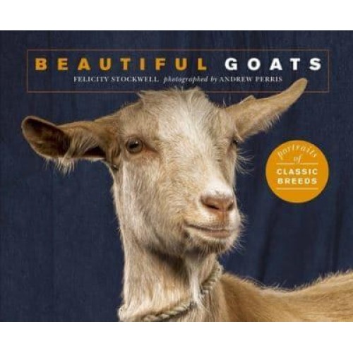 Beautiful Goats Portraits of Champion Breeds - Beautiful Animals