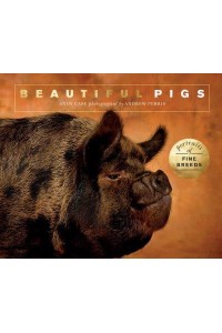 Beautiful Pigs Portraits of Champion Breeds - Beautiful Animals