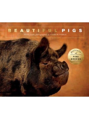 Beautiful Pigs Portraits of Champion Breeds - Beautiful Animals