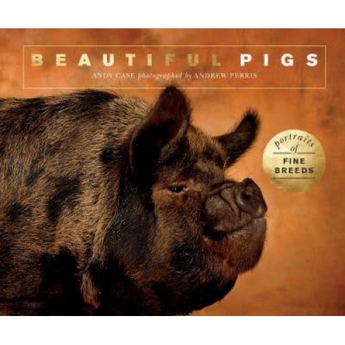 Beautiful Pigs Portraits of Champion Breeds - Beautiful Animals