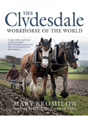 The Clydesdale Workhorse of the World