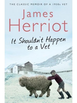 It Shouldn't Happen to a Vet