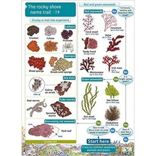 The Rocky Shore Name Trail