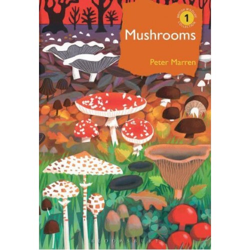 Mushrooms The Natural and Human World of British Fungi - British Wildlife Collection