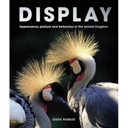 Display Appearance, Posture and Behaviour in the Animal Kingdom