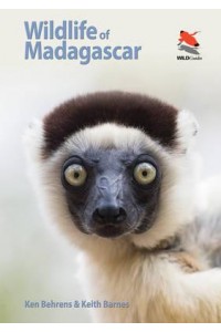 Wildlife of Madagascar - Wildlife Explorer Guides