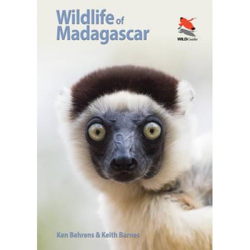 Wildlife of Madagascar - Wildlife Explorer Guides