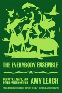 The Everybody Ensemble Donkeys, Essays, and Other Pandemoniums