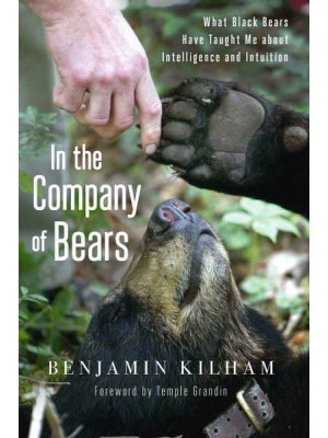 Out on a Limb What Black Bears Taught Me About Intelligence and Intuition