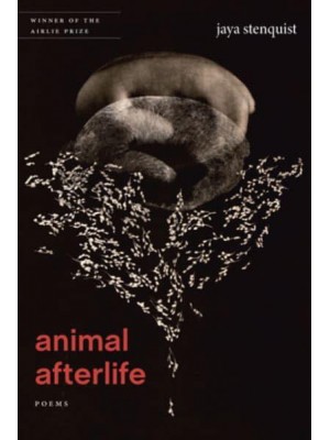 Animal Afterlife