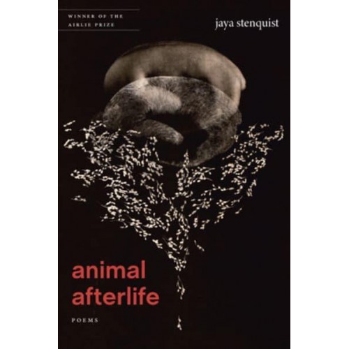 Animal Afterlife