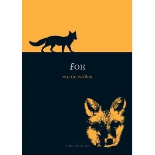Fox - Animal