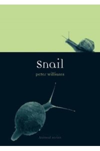 Snail - Animal
