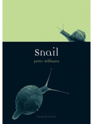Snail - Animal