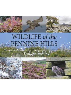 Wildlife of the Pennine Hills