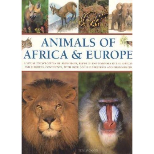 Animals of Africa & Europe A Visual Encyclopedia of Amphibians, Reptiles and Mammals in the African and European Continents