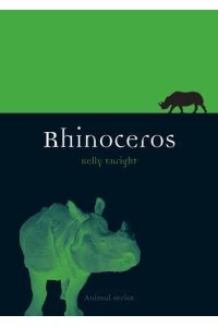 Rhinoceros - Animal
